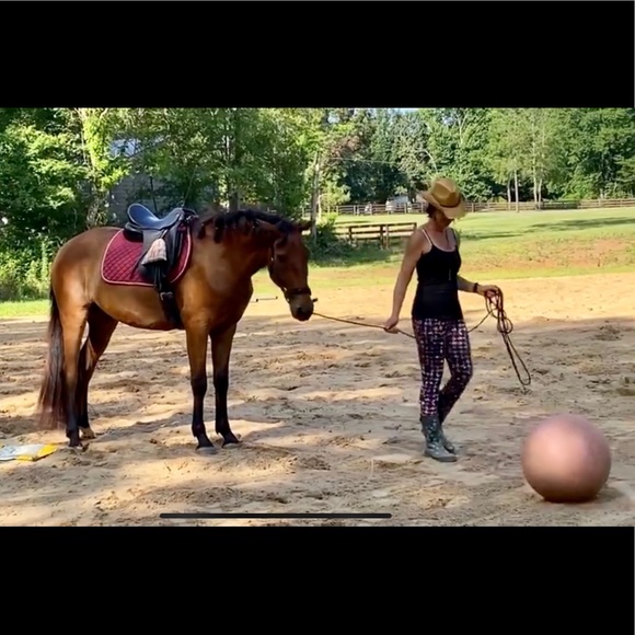 Meet Your Posher - Picture 8 of 8